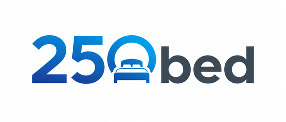 250 bed লোগো